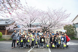 ゴールの安養院は満開の桜が出迎えてくれました。写真は11時スタート組。 ゴールの安養院は満開の桜が出迎えてくれました。写真は11時スタート組。